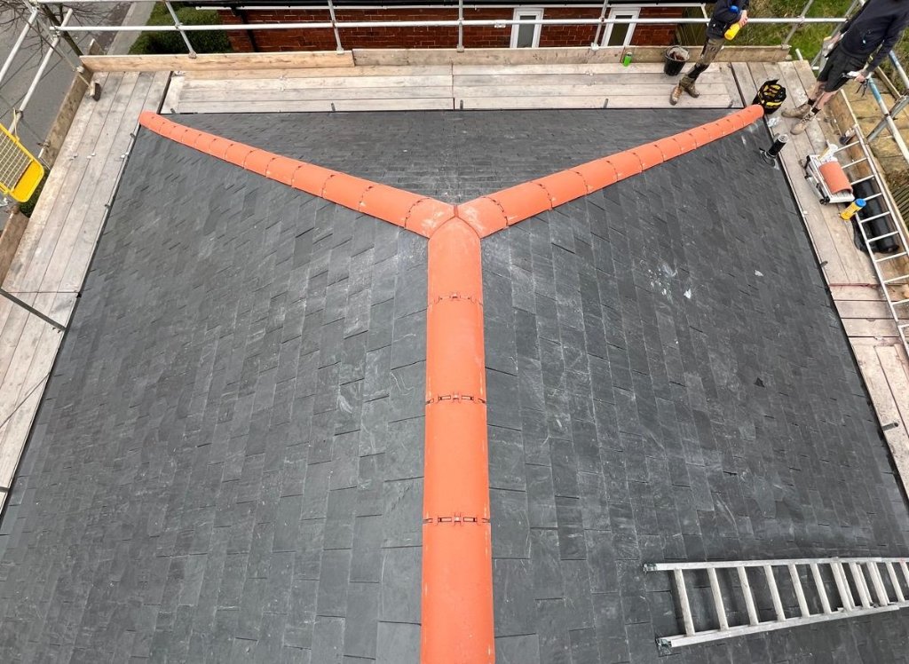 Modern Techniques (Dry Ridge Systems)