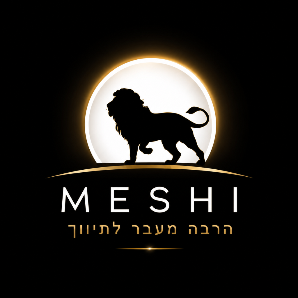 משי נכסים