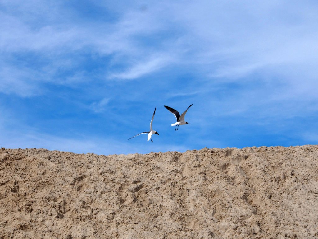 Beach photography Dauphin Island AL
