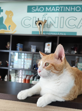 Clínica Veterinária São Martinho