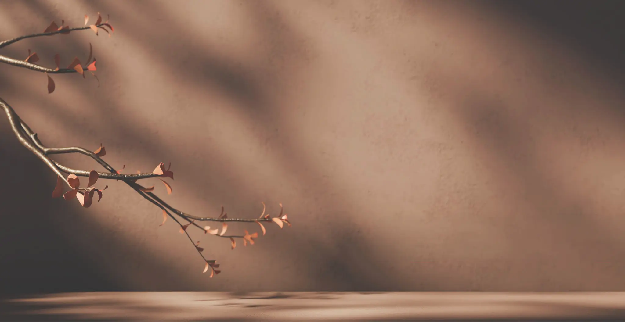 Aerial dance practice