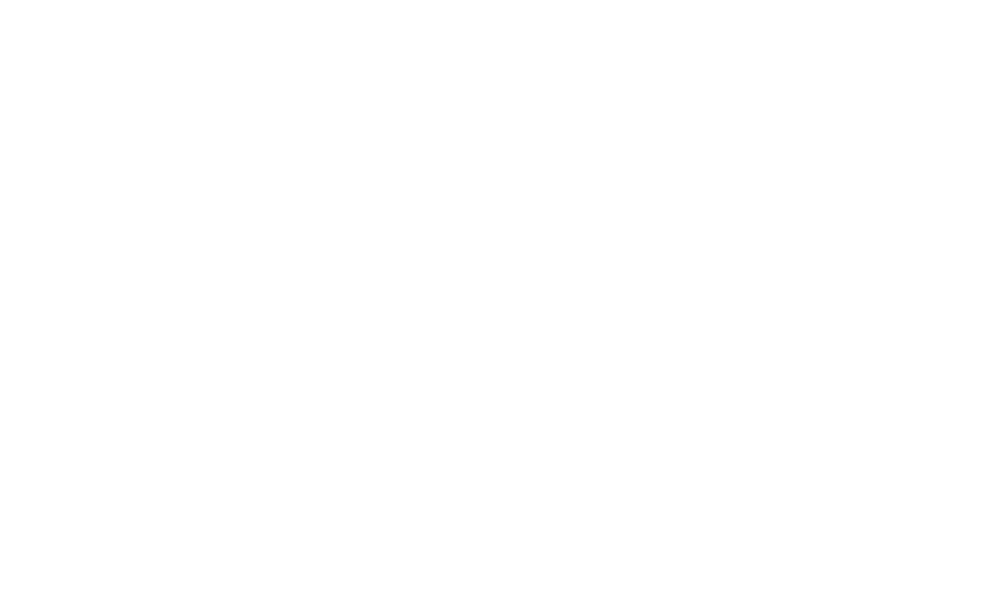 RISE95 Consulting