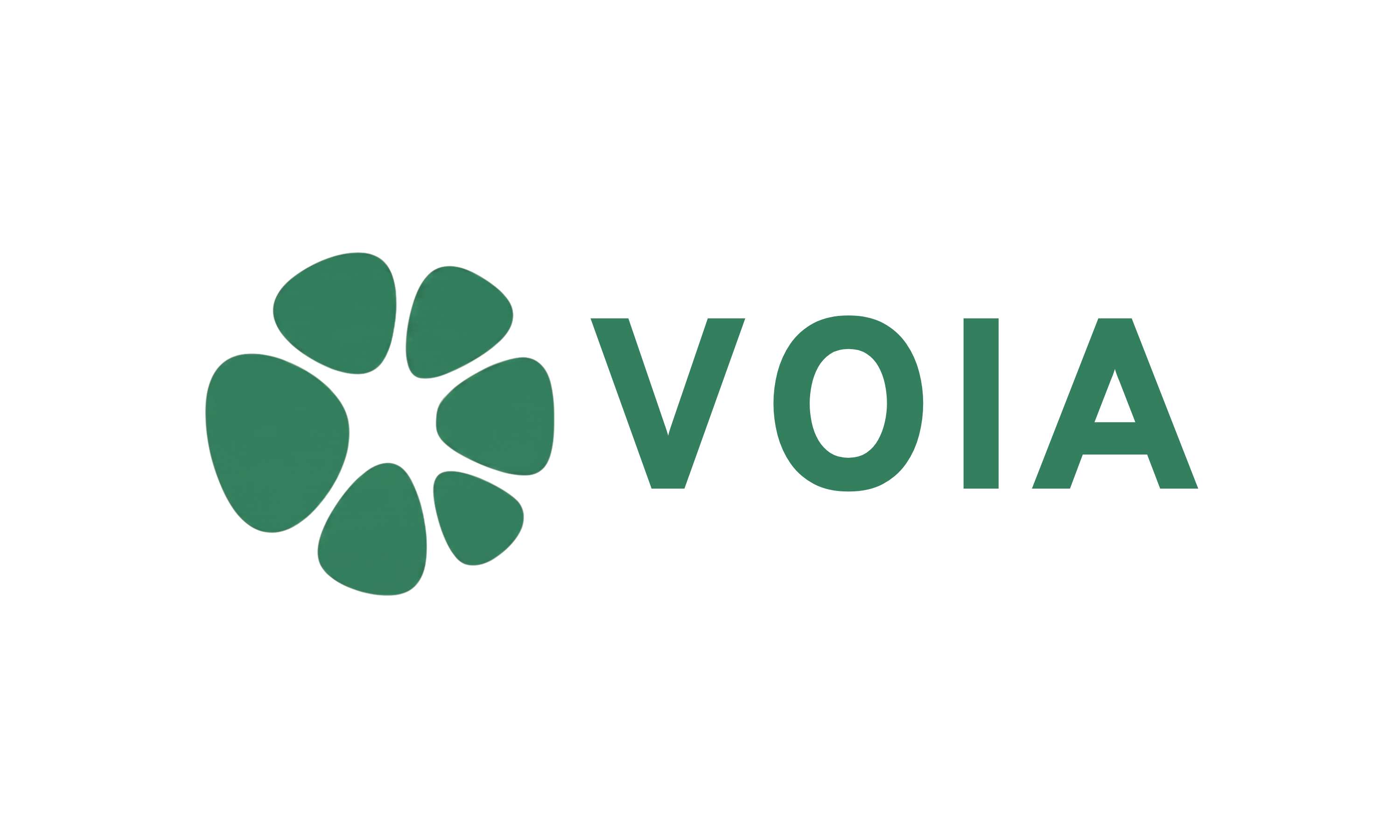VOIA logo