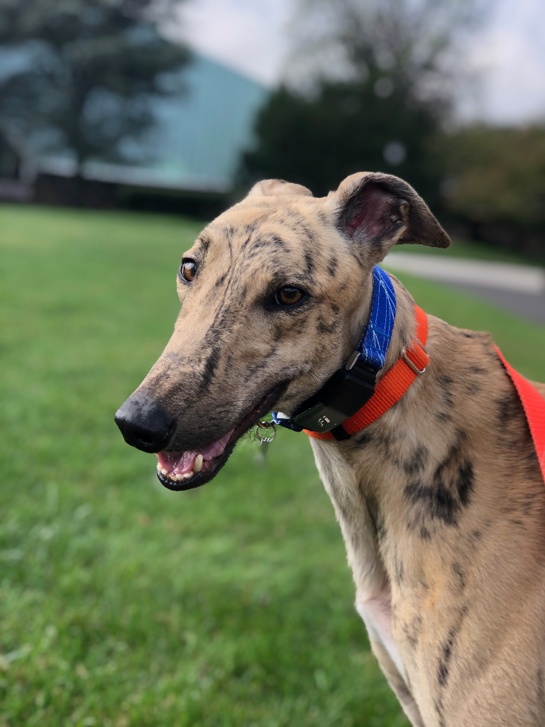Max