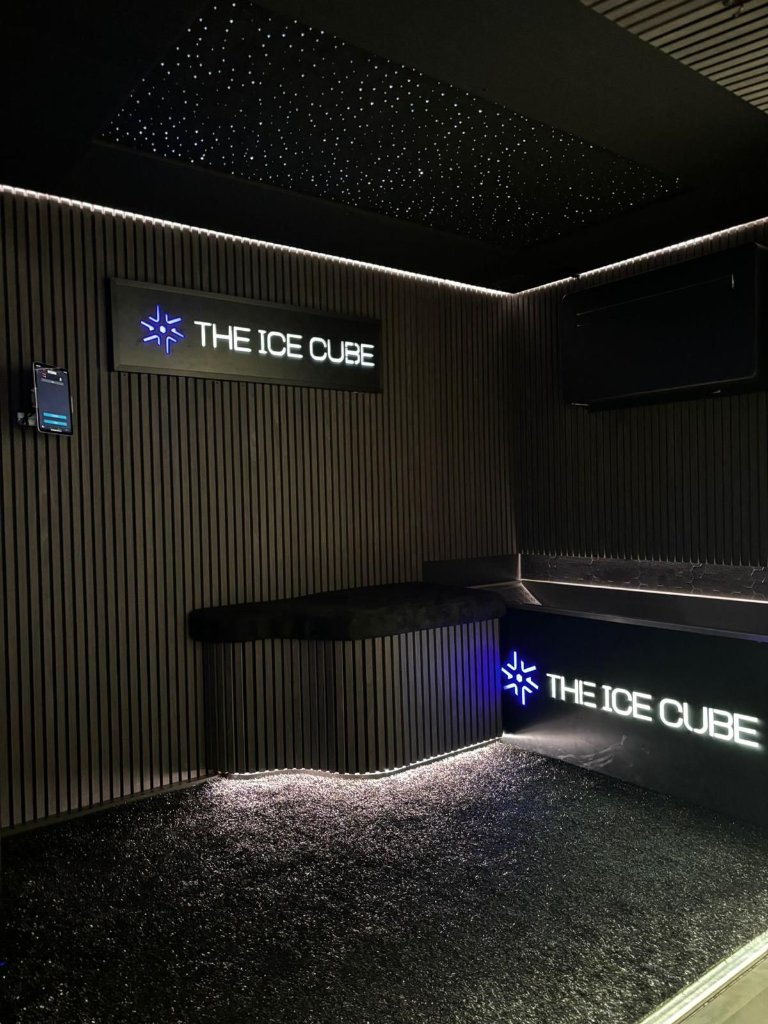 The Ice Cube