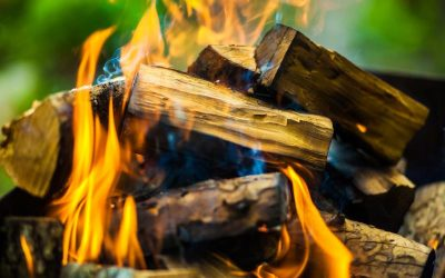 COOK IN WOOD – Hardwood for Ovens & Roasters 3