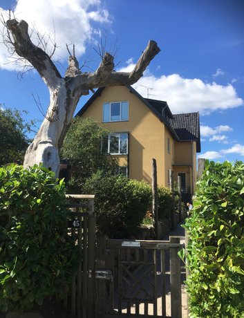 Rundkørslen børnehave