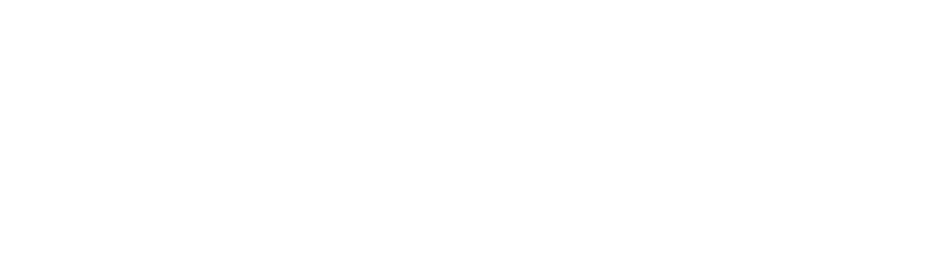 EchoPulse