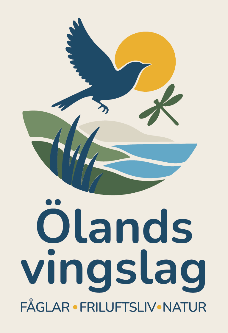 Ölands Vingslag – fåglar, friluftsliv, natur