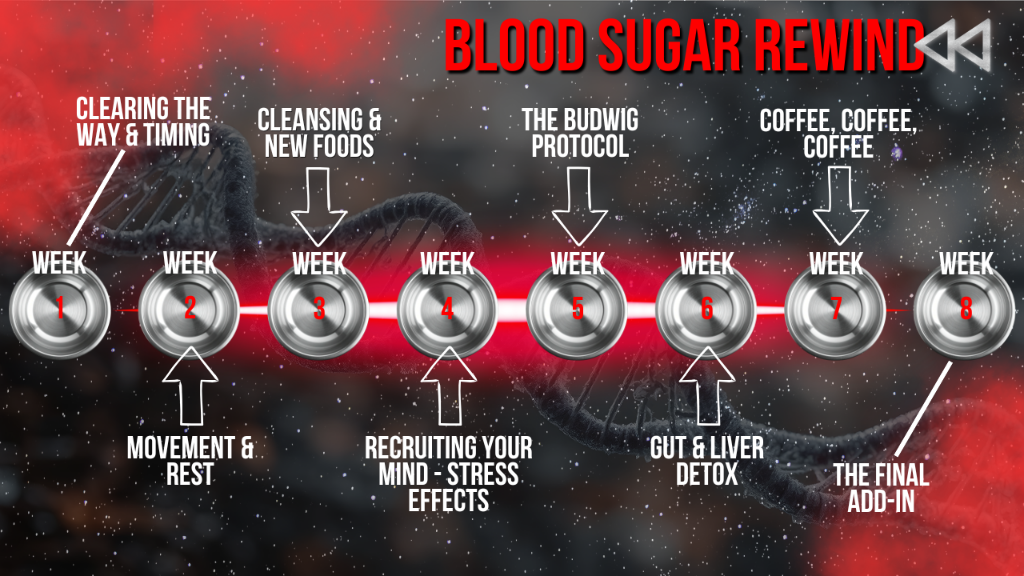 Blood Sugar Rewind 8-Week Program Timeline