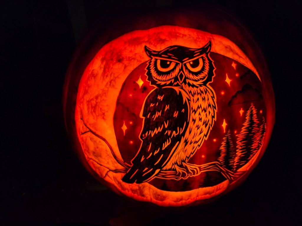 Owl on Moon