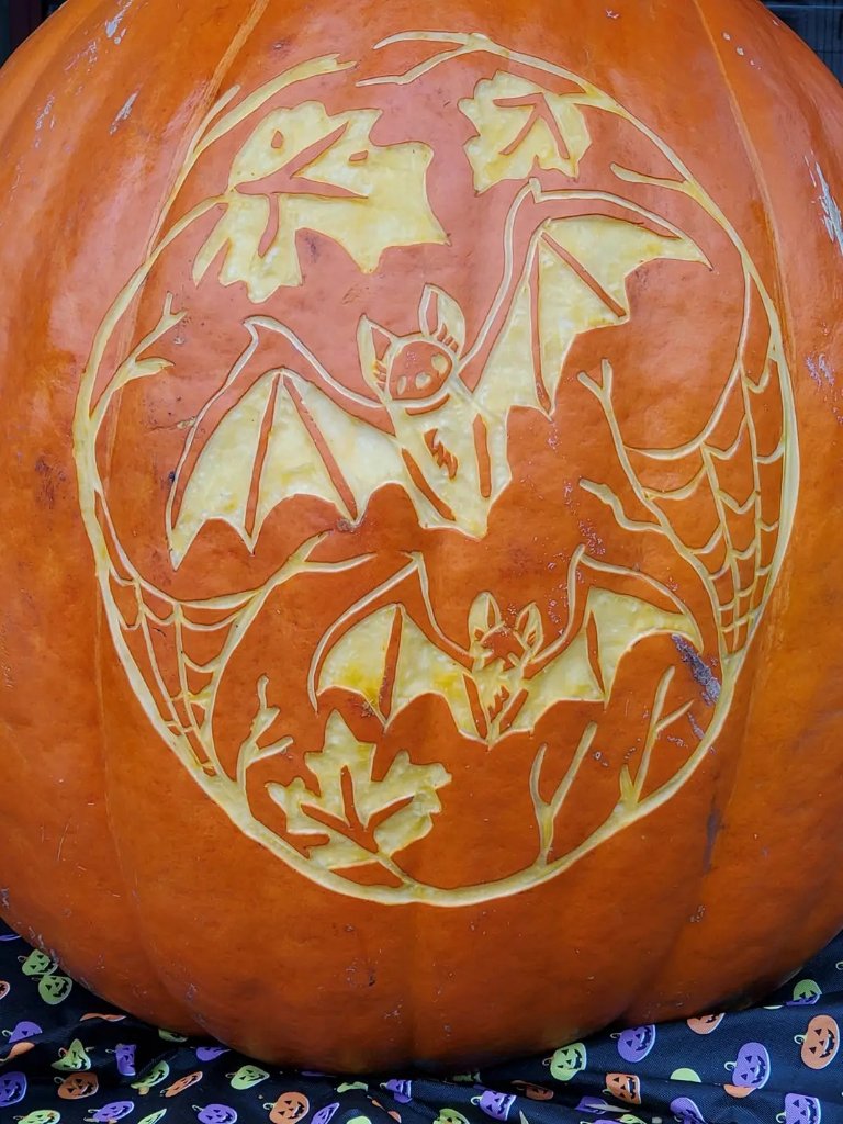 Bats
