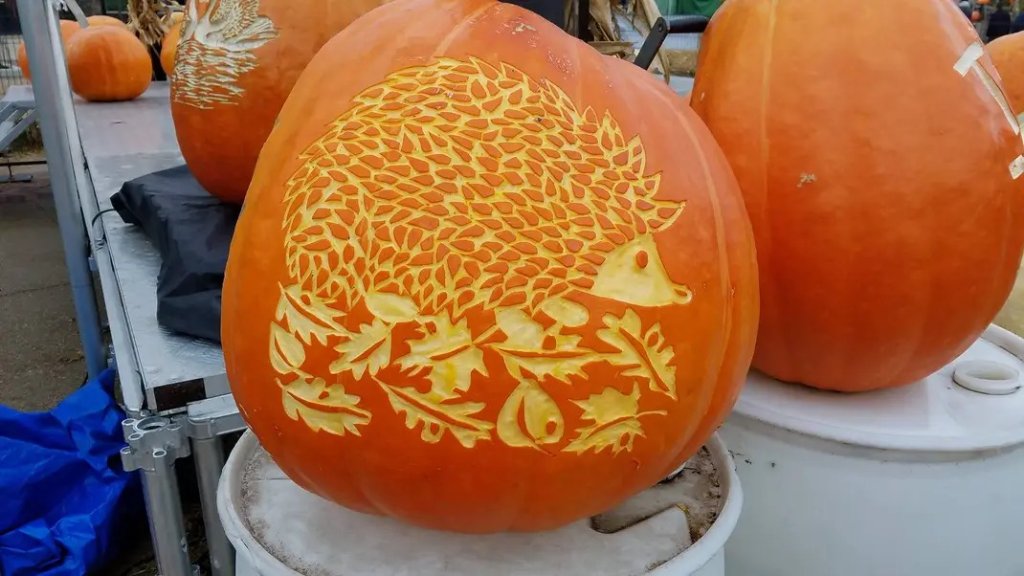 Hedgehog