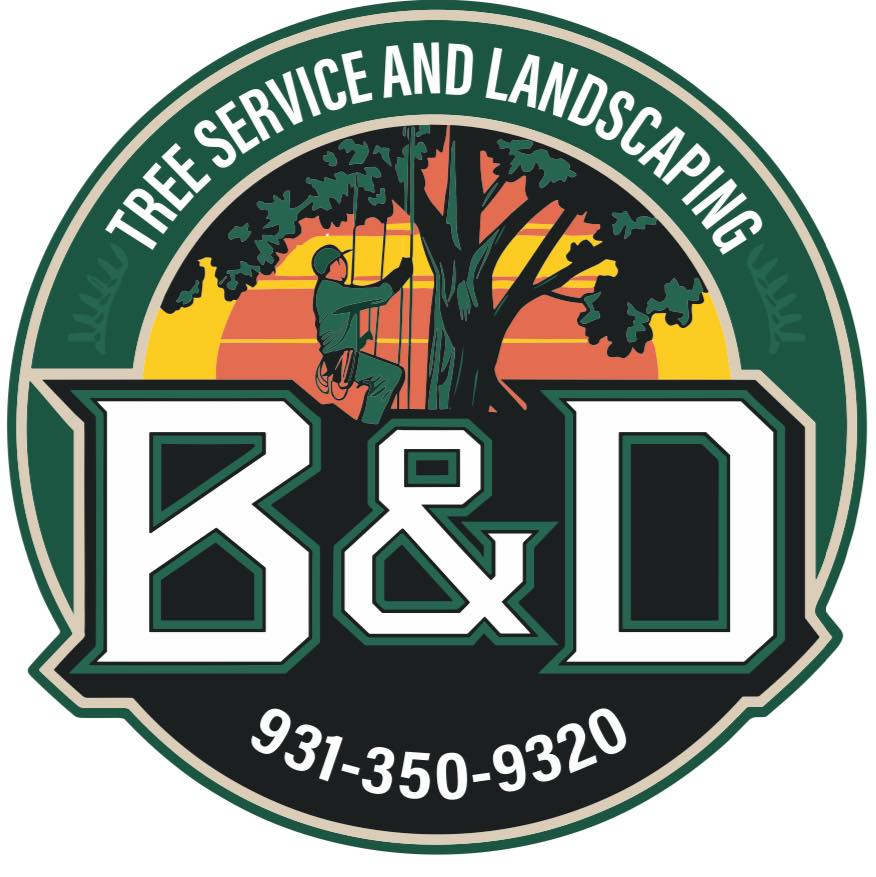 B&D Tree Service and Landscaping Logo
