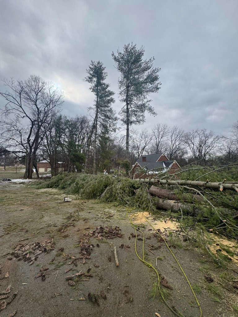 Storm Damage