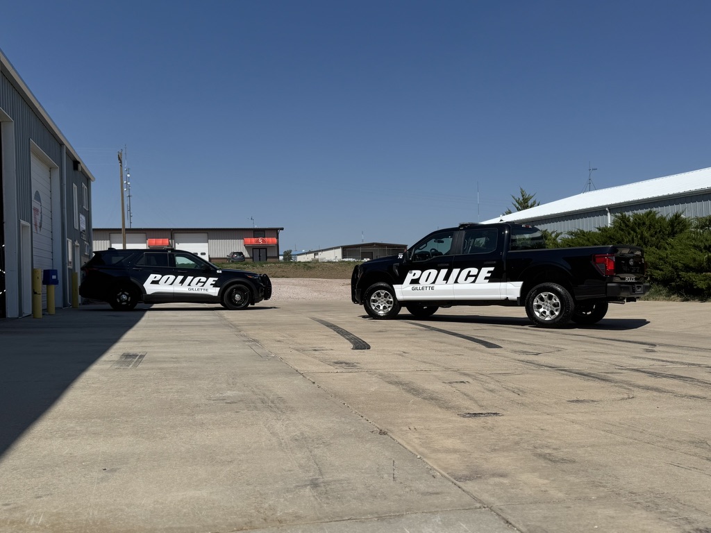 Vehicle wrap project photo 42