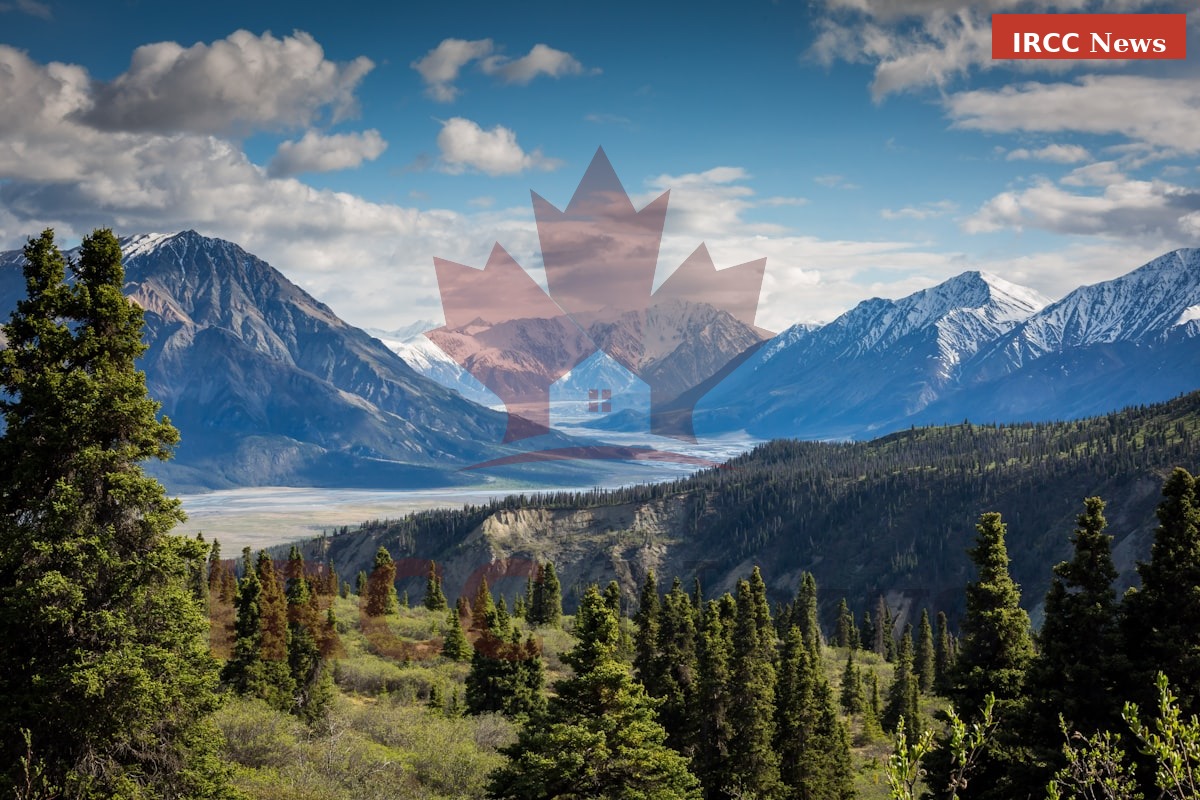 What Happens After Biometrics: IRCC's Security Screening Explained