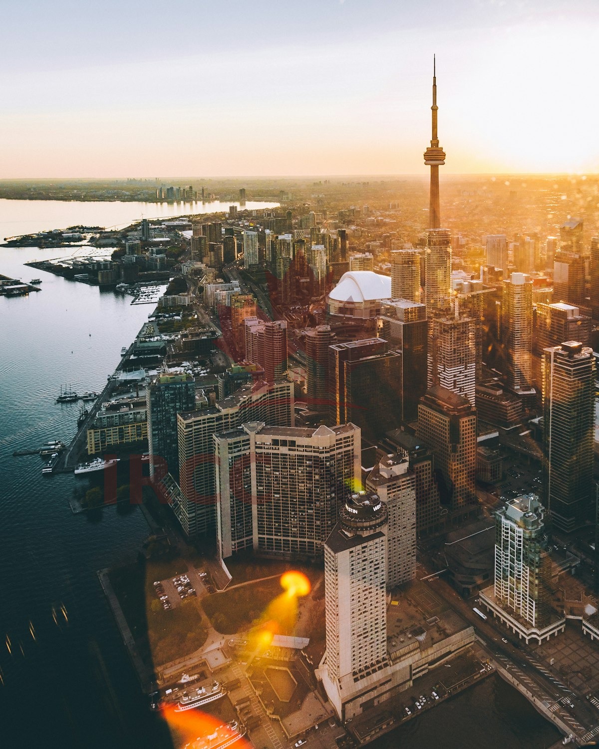 Economic PR Processing Times Continue to Fall: June 2026 IRCC Data Shows All Streams Improving