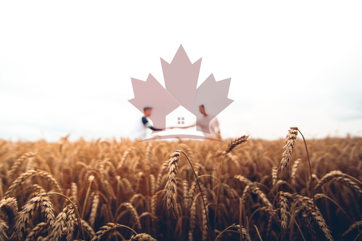 Rural Canada's Temporary Foreign Worker Expansion, Manitoba Leads with Higher Low-Wage Cap