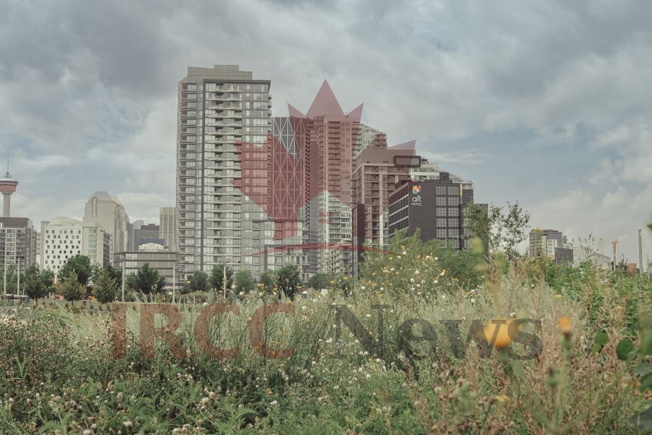 Alberta AAIP Worker EOI Now Editable: Update Your Profile Without Cancelling, Refunds Issued