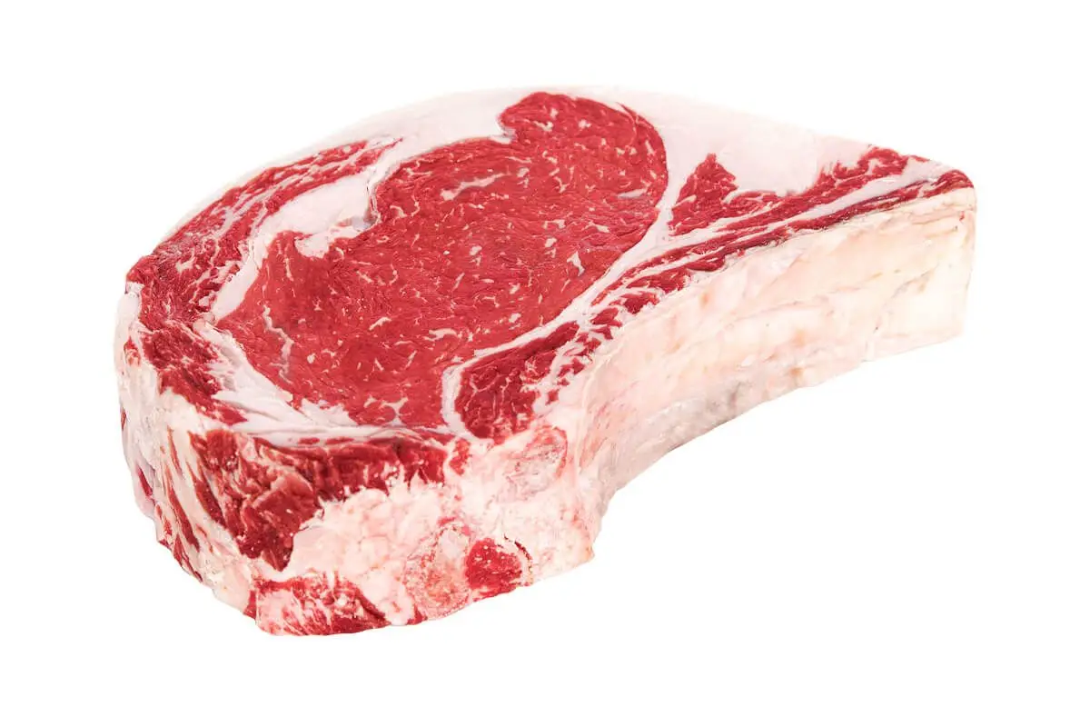 Rib