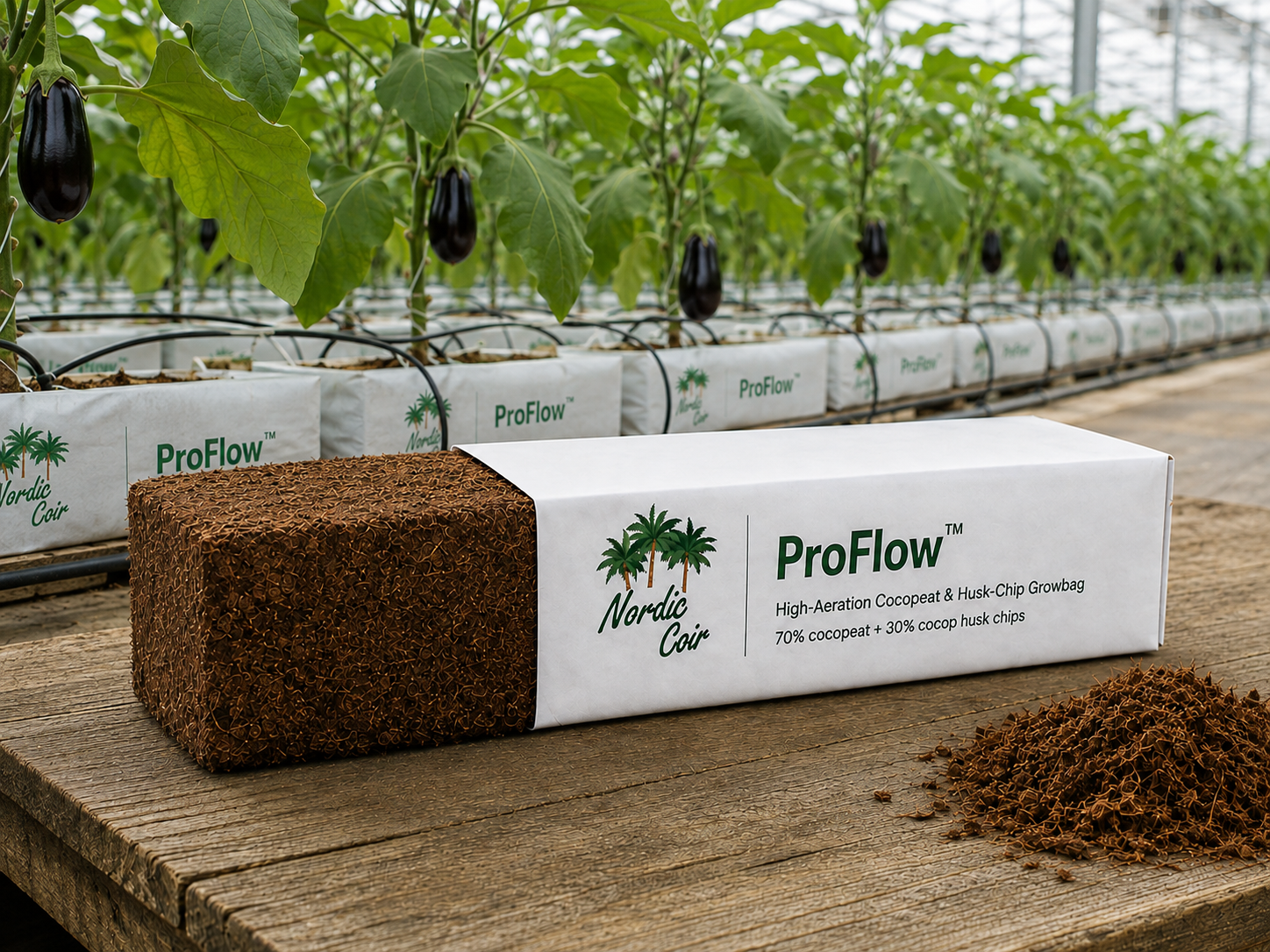 ProFlow 70/30 cocopeat and coco chip grow slab in a professional greenhouse by Nordic Coir