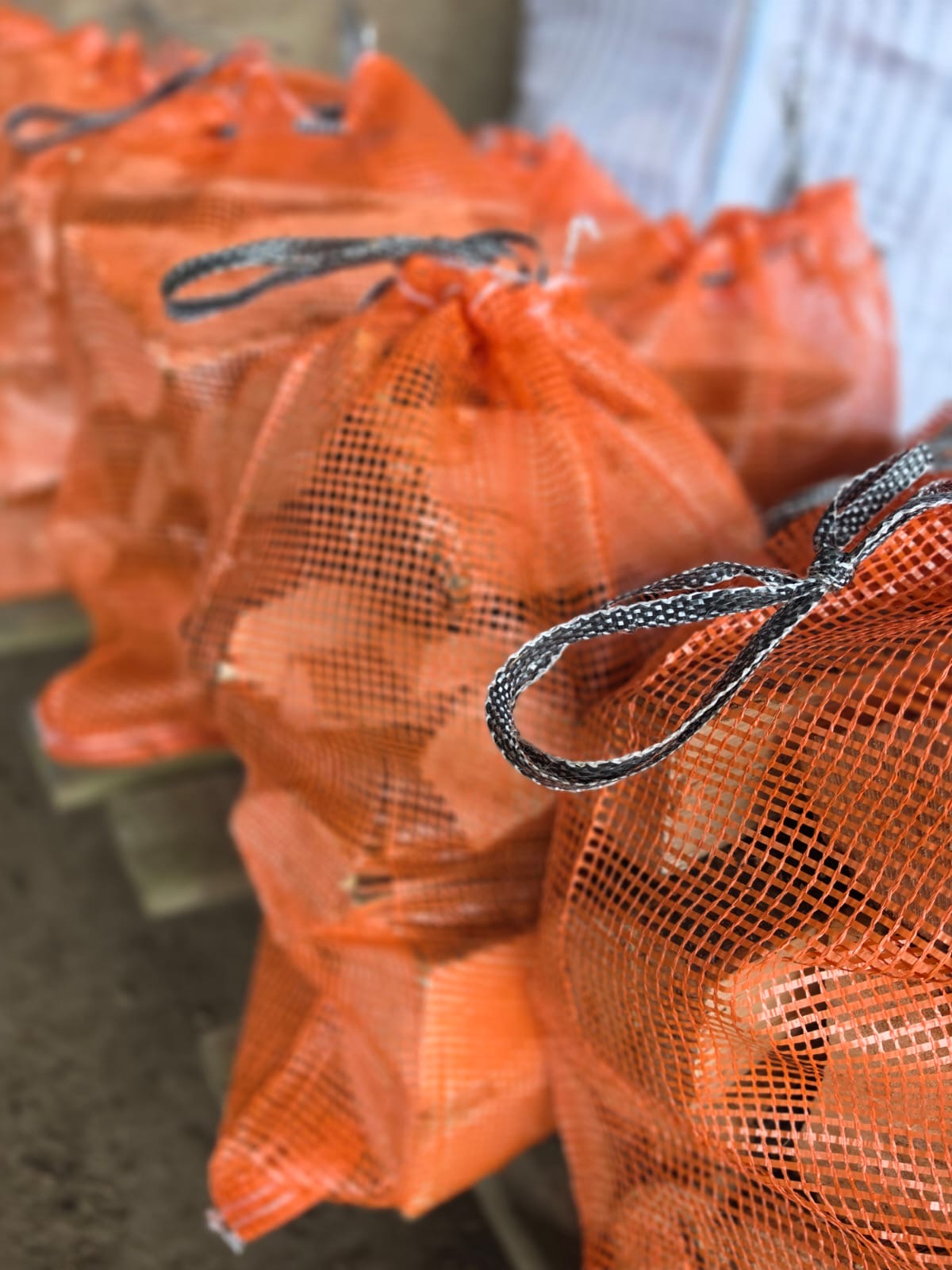 Net of Seasoned Logs