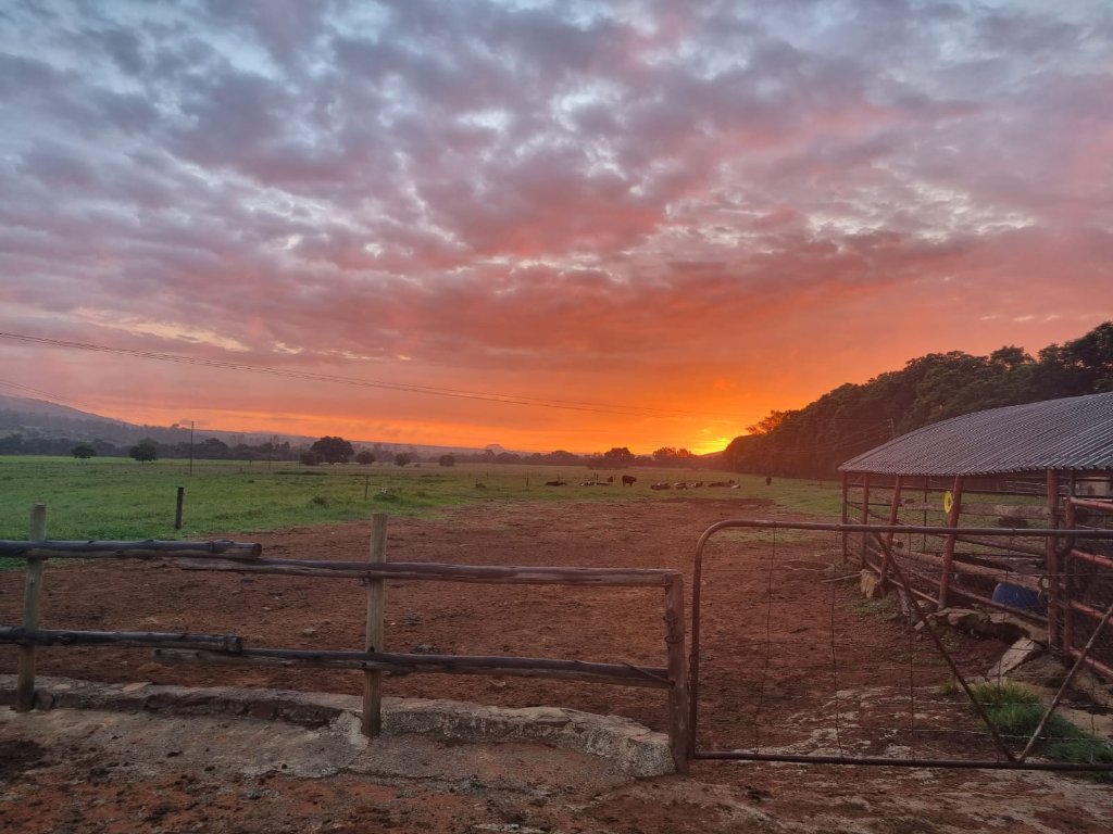 Pontenilo farm