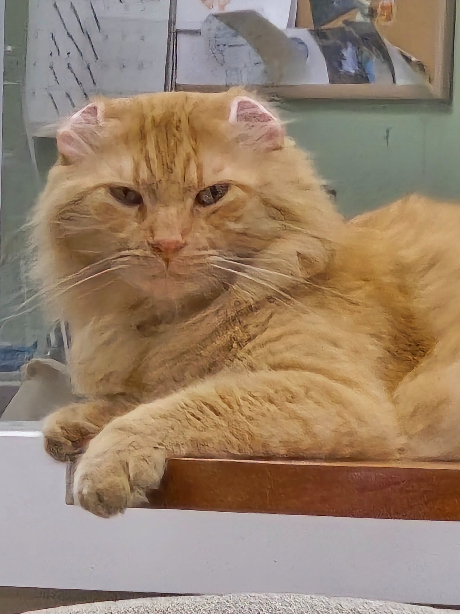 Mr. Thumbs resting on a wooden ledge