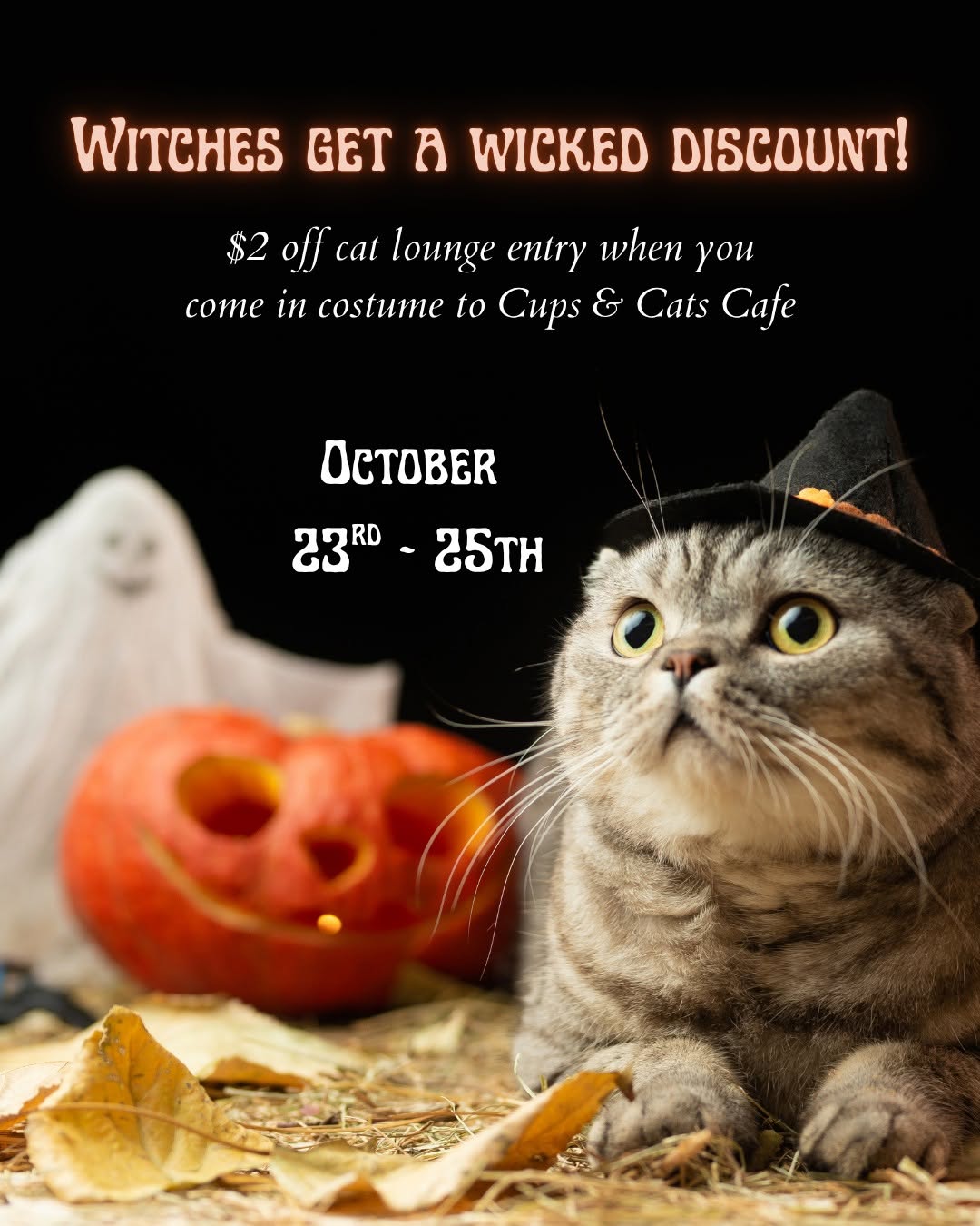 Witches get a wicked discount — $2 off cat lounge entry in costume