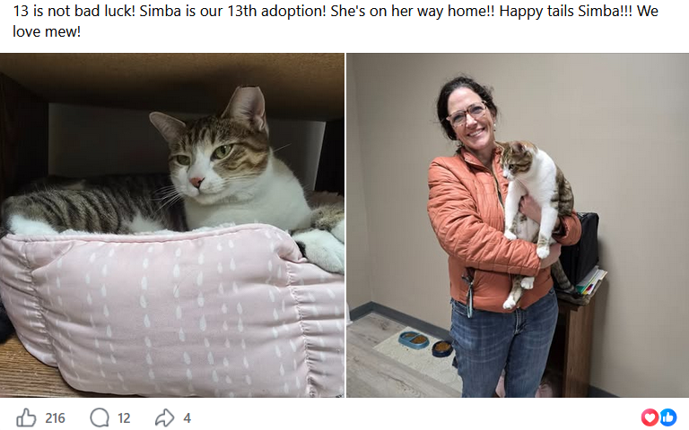 Simba — adoption #13