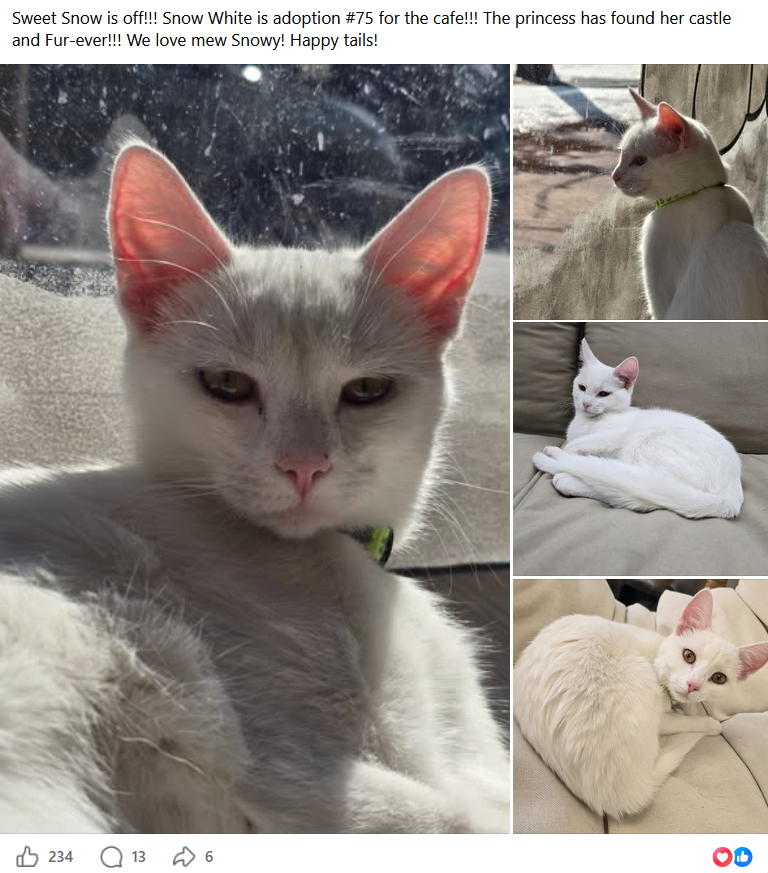 Snow White — adoption #75