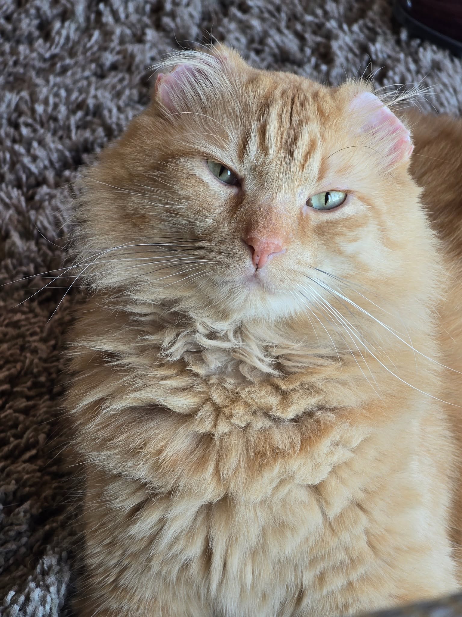 Mr. Thumbs