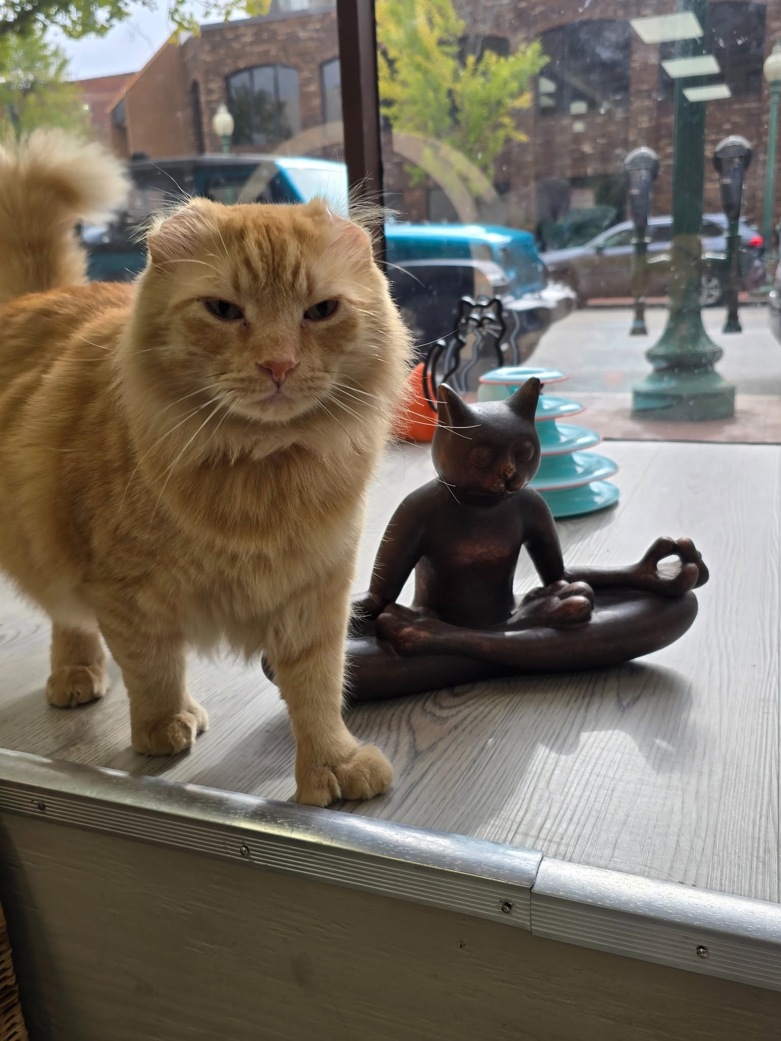 Mr. Thumbs beside a meditation cat figurine