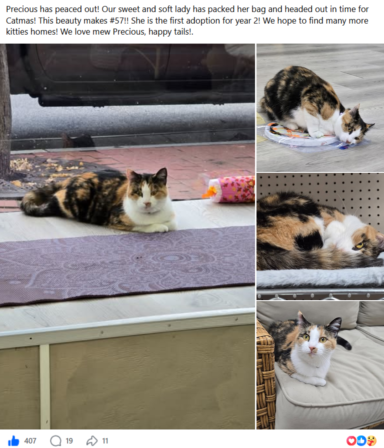 Precious — adoption #57