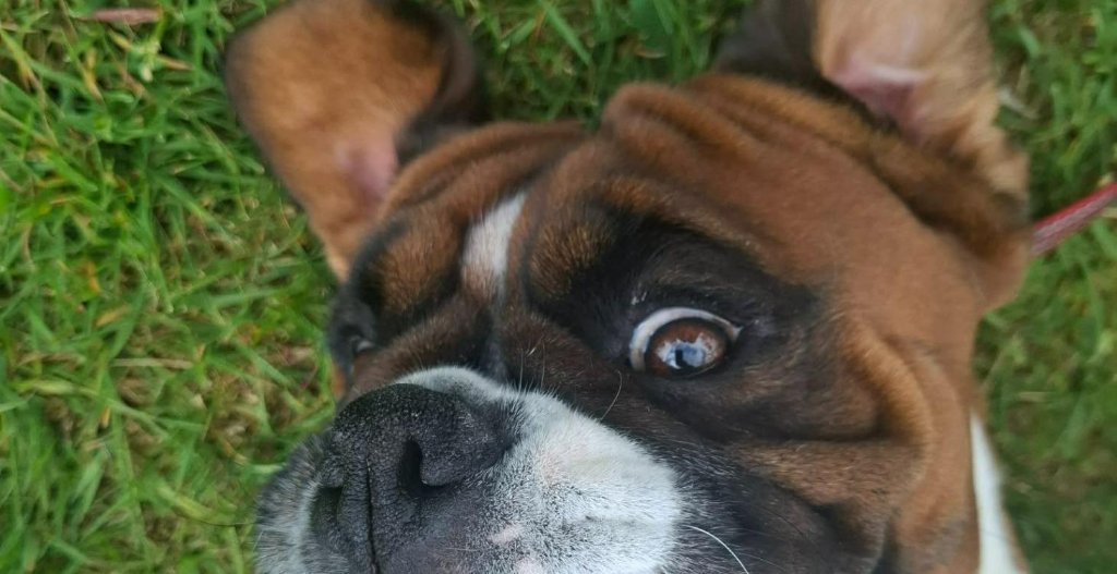 Gratis minikurs