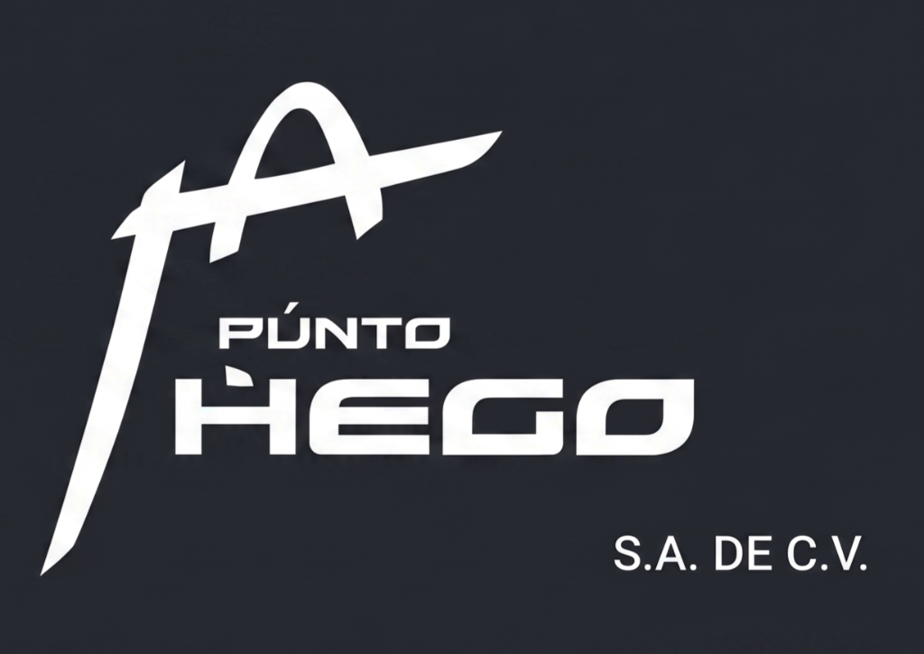 Punto Hego Logo