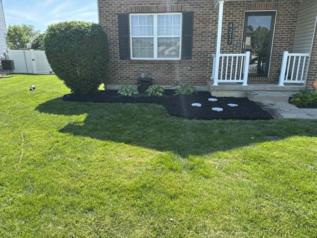 Landscaping Project