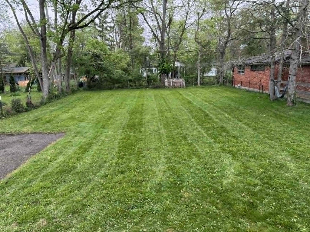Lawn Maintenance
