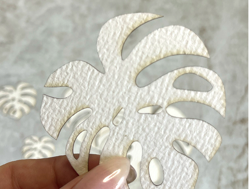 Verdant Monstera 4