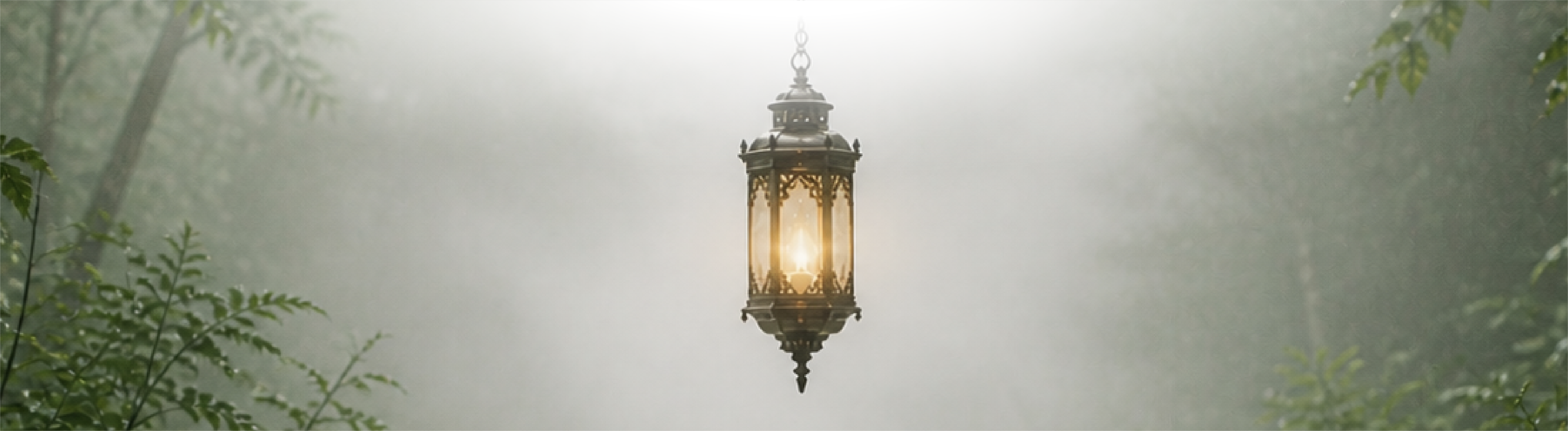 Meet The Lantern