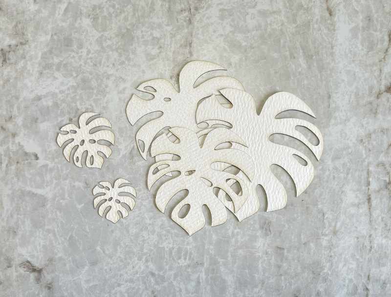Verdant Monstera 3