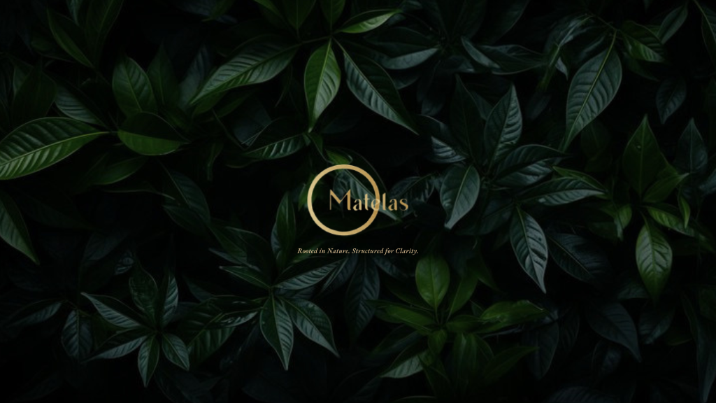 Wellnesstopia｜台灣 × 睡眠科技 × 草本療癒系統