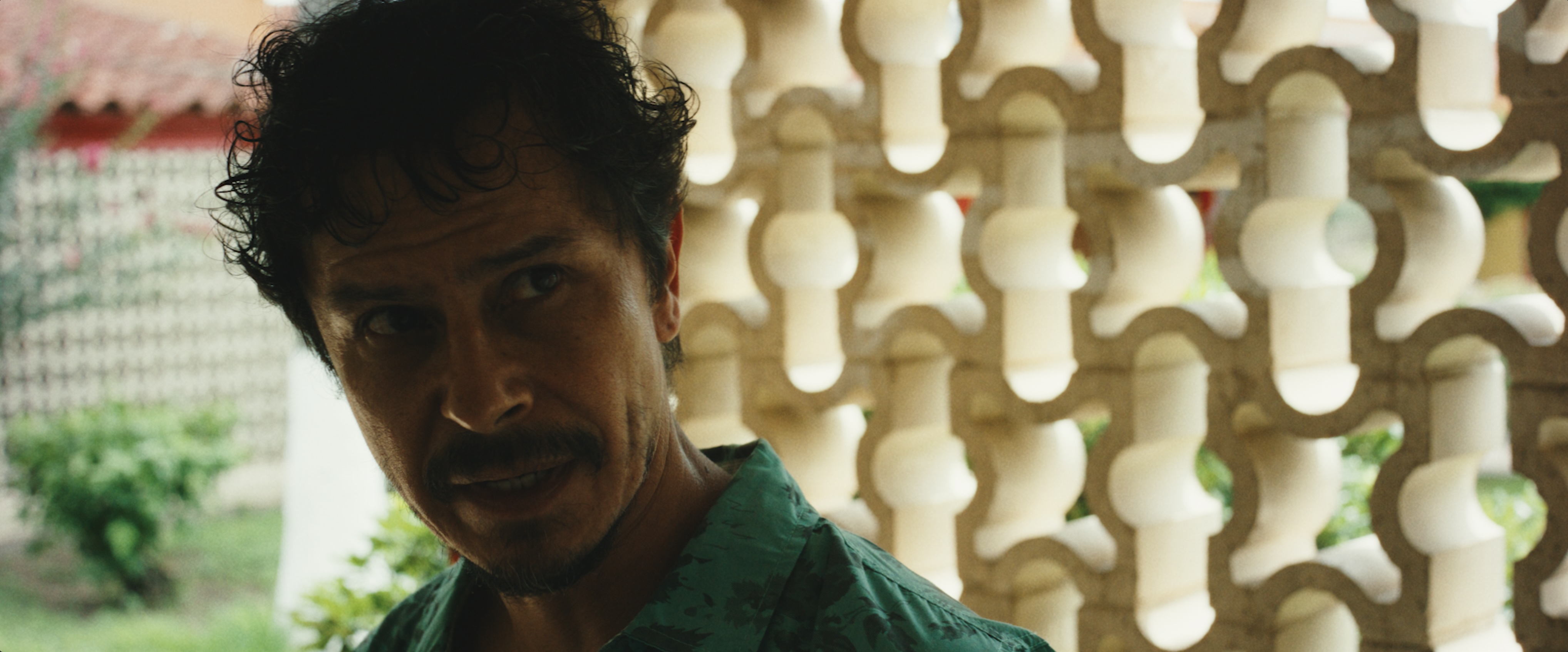 Pedro Thinks About the Proposal