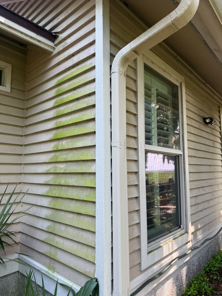 Before - House Soft Wash