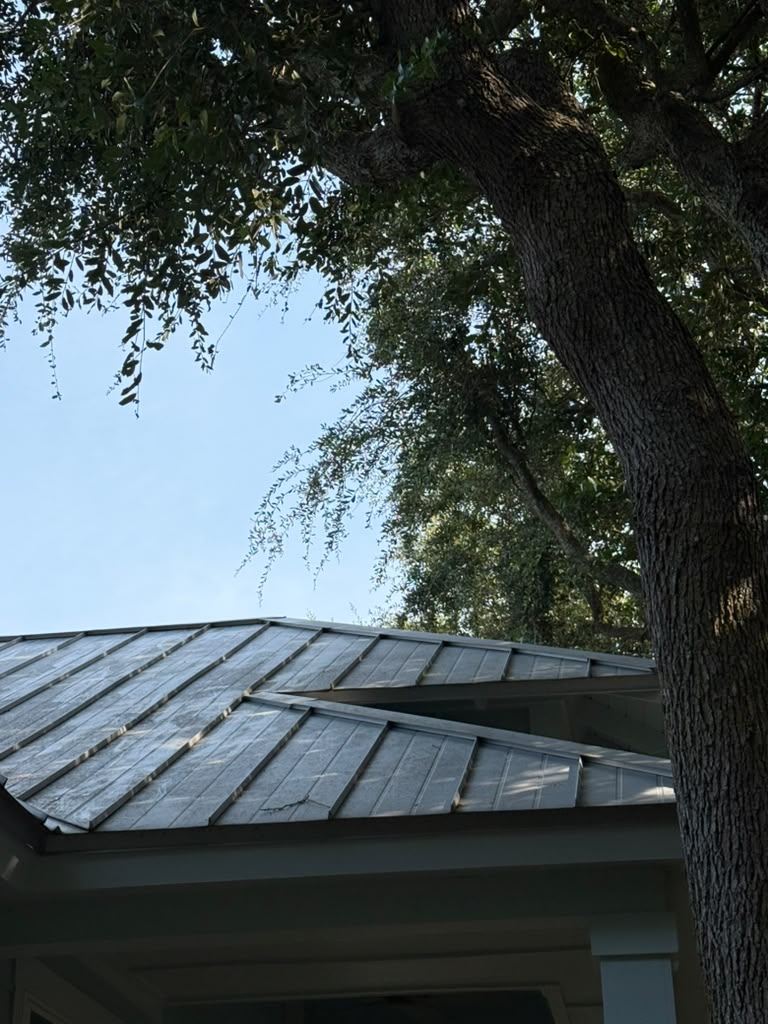 Before - Roof Soft Wash
