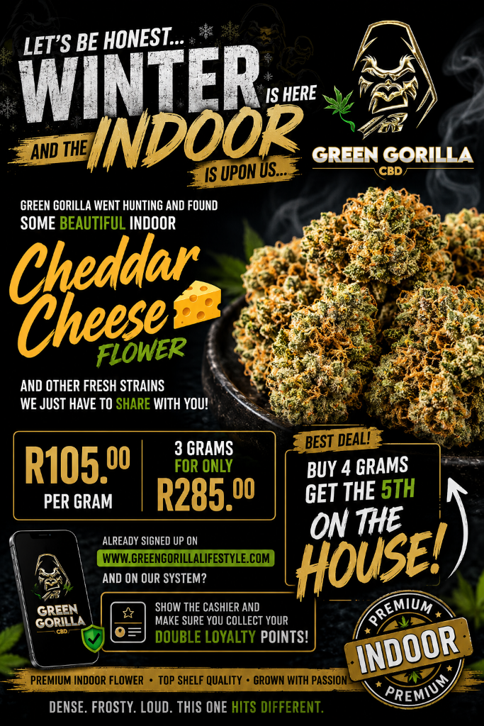 Cheddar Cheese Indoor Flower
