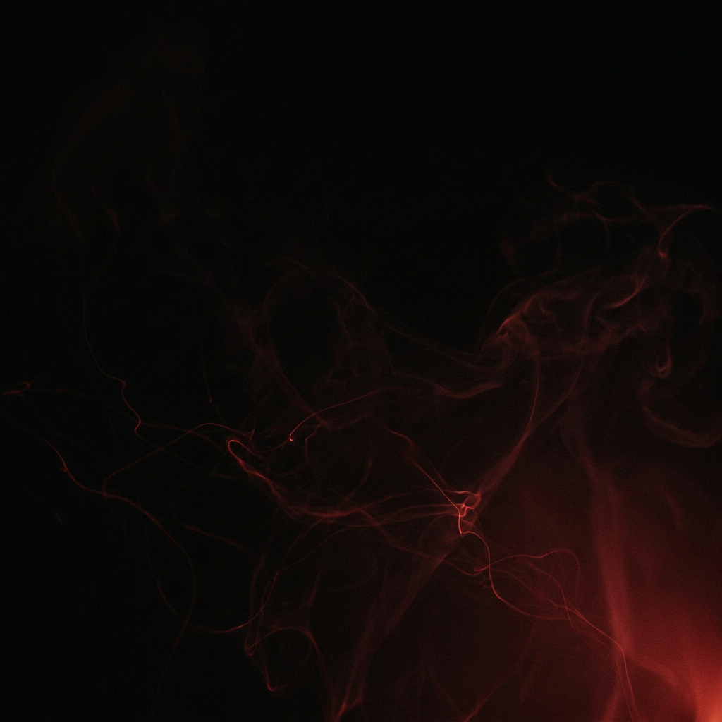 VILLEGAS agency background