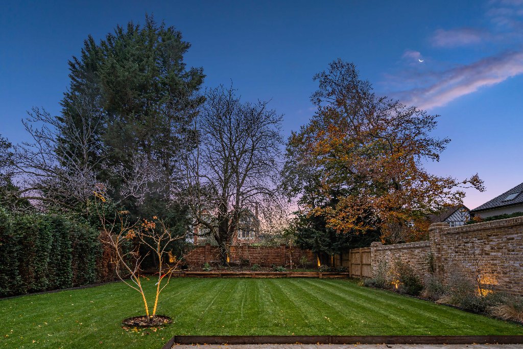 Garden 3
