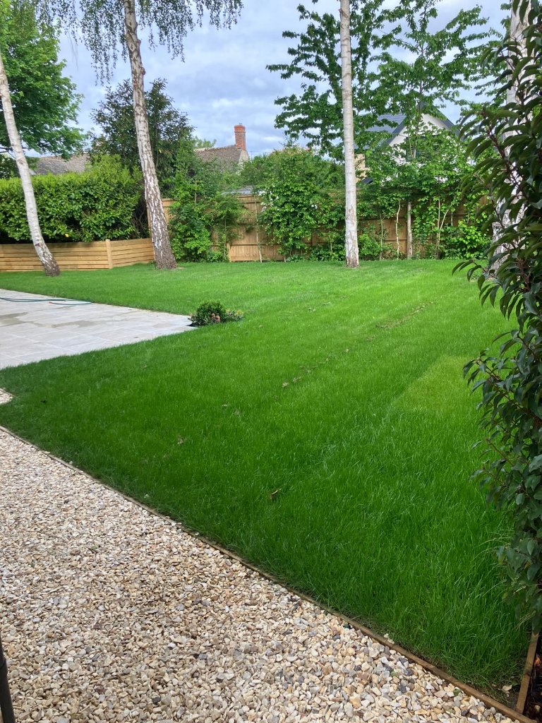 Garden 2